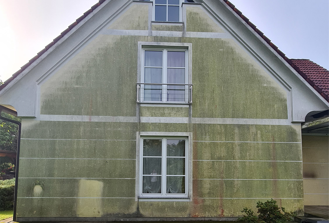 Algenverschmutzung - Professionelle Fassadenreinigung notwendig - Fassadenexpert.